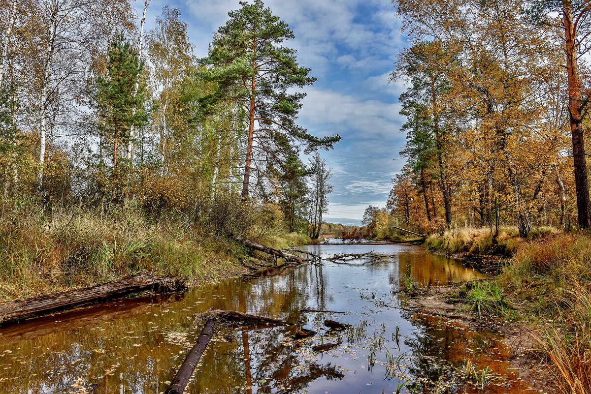 Осенний мотив.. - АЛЕКСАНДР СУВОРОВ