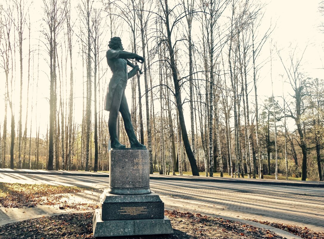 вальс Штрауса - Елена 