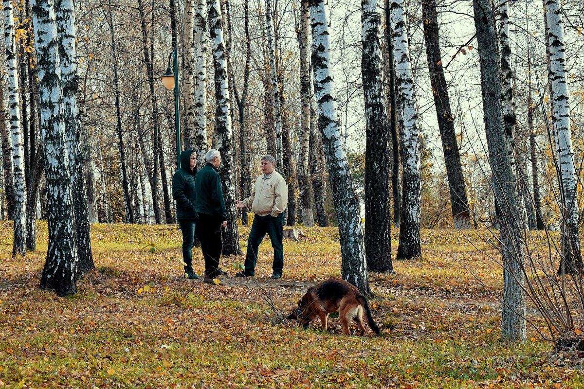 Кто с кем гуляет? - Татьяна Помогалова Кто с кем гуляет? - Татьяна Помогалова