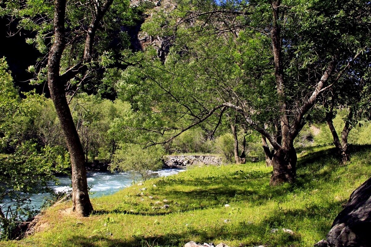 ПУТЕШЕСТВИЕ ПО КОКСУ. - Виктор Осипчук ПУТЕШЕСТВИЕ ПО КОКСУ. - Виктор Осипчук