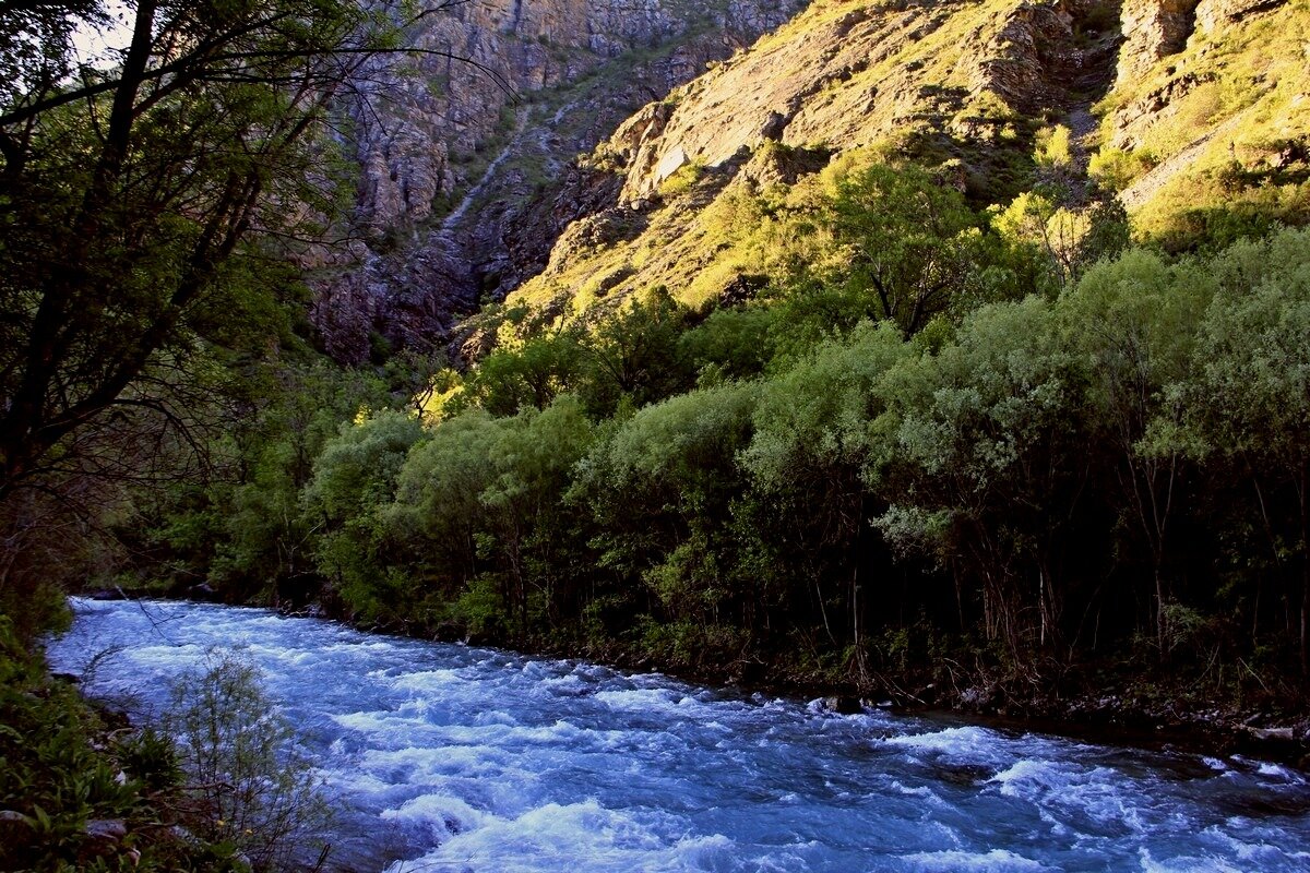 ПУТЕШЕСТВИЕ ПО КОКСУ. - Виктор Осипчук