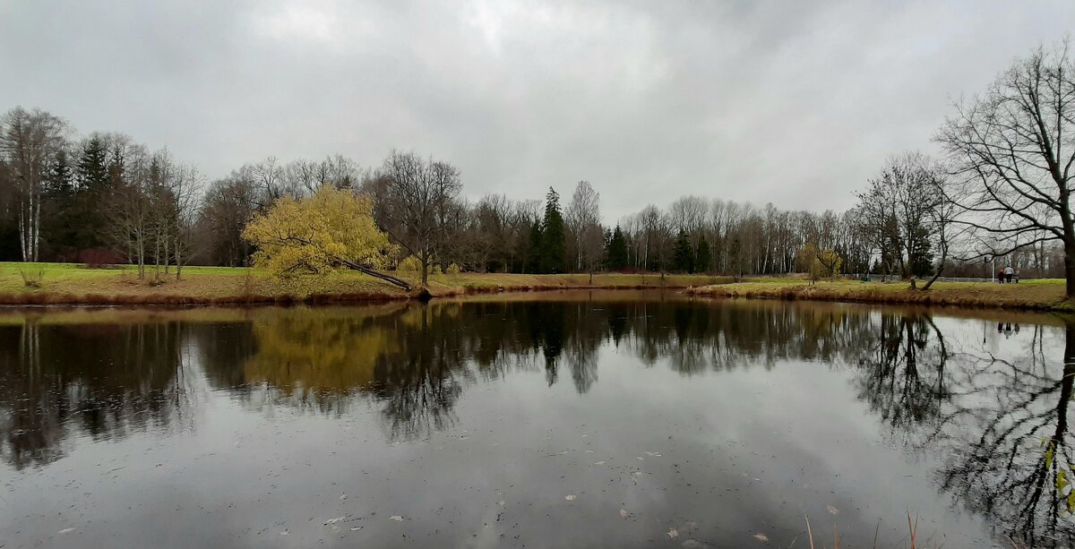 Александровский парк. Ноябрь - Наталья Герасимова