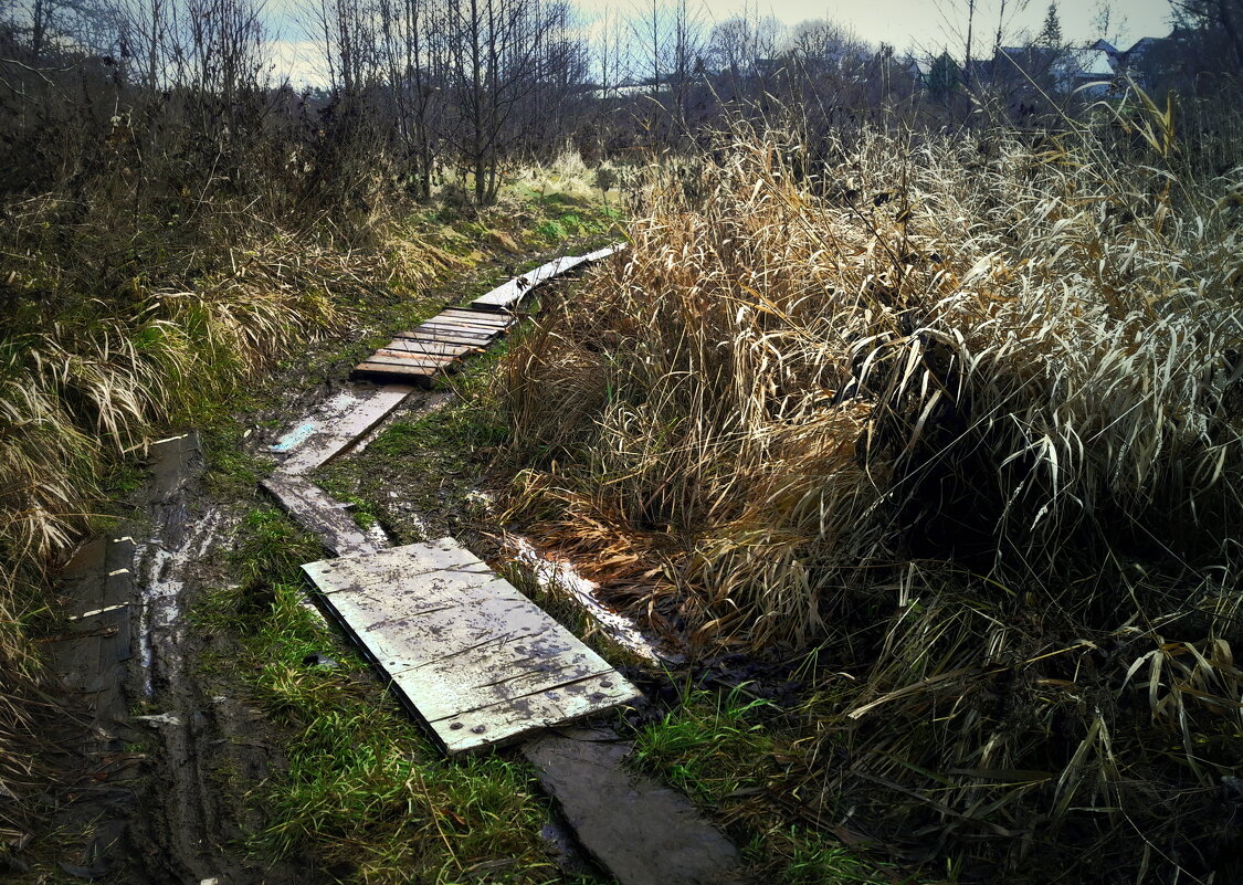 моя дорога на родник - Любовь моя дорога на родник - Любовь
