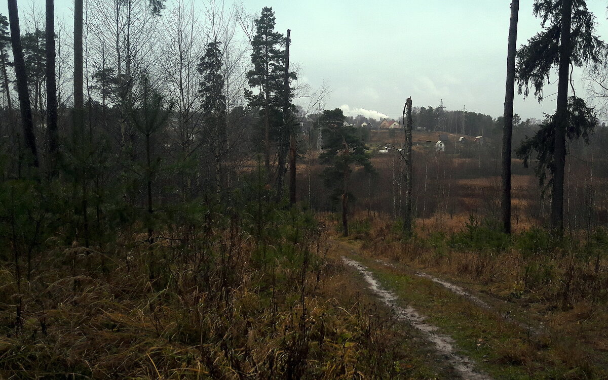 ненастье - Любовь ненастье - Любовь