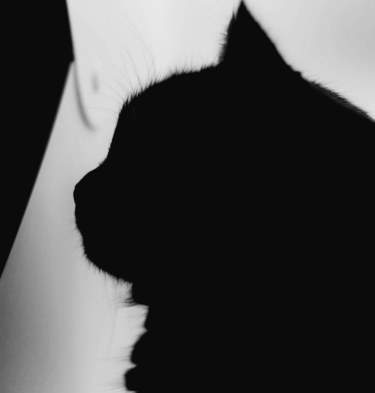 Фигурка - Мария Маркушевич