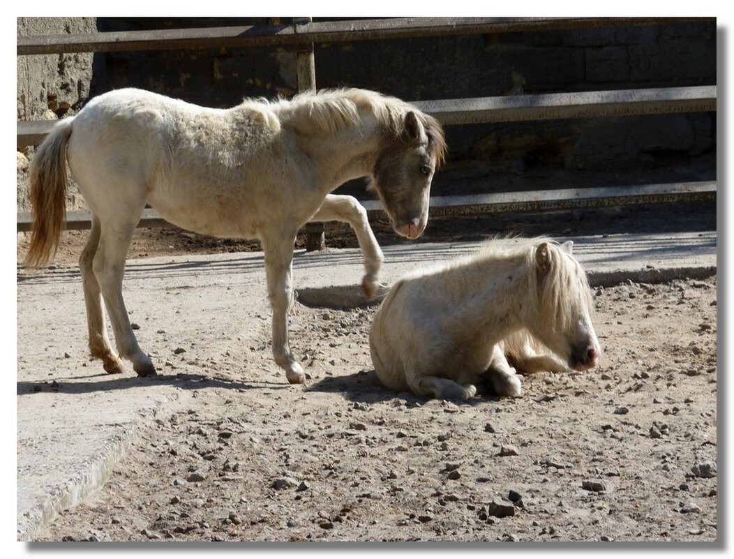 ВСТАВАЙ НА УТРЕННЮЮ ЗАРЯДКУ - Анатолий Восточный ВСТАВАЙ НА УТРЕННЮЮ ЗАРЯДКУ - Анатолий Восточный