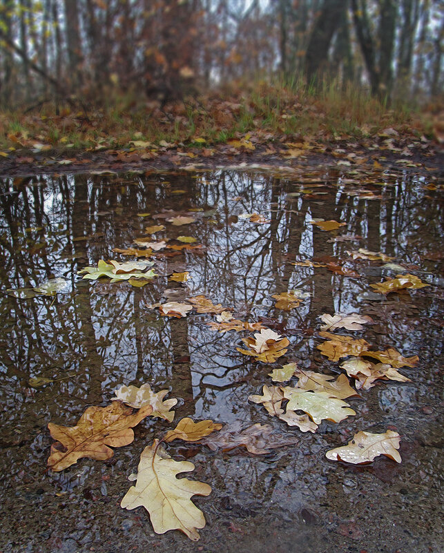 * - Лера * - Лера