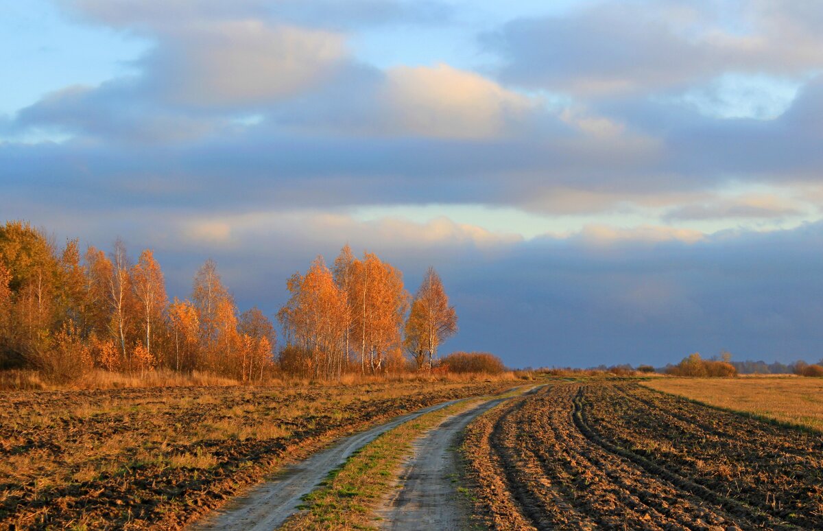 Дорога - Сергей Дорога - Сергей