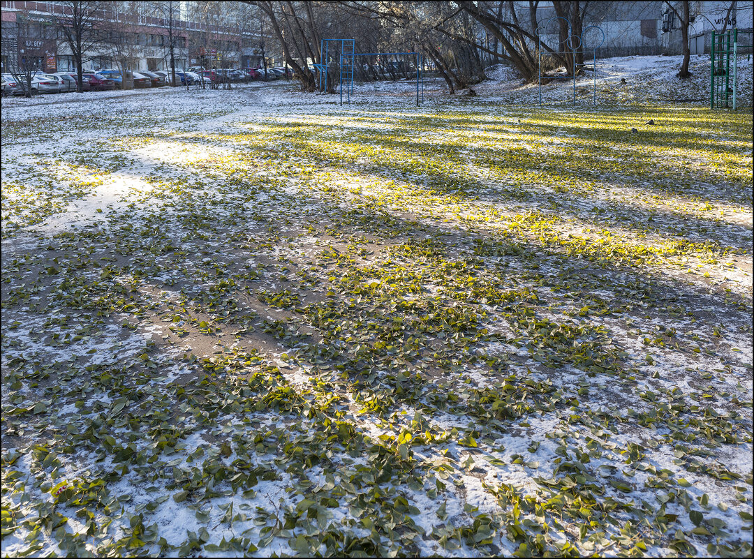 -11, Ясно. - Александр Тарноградский