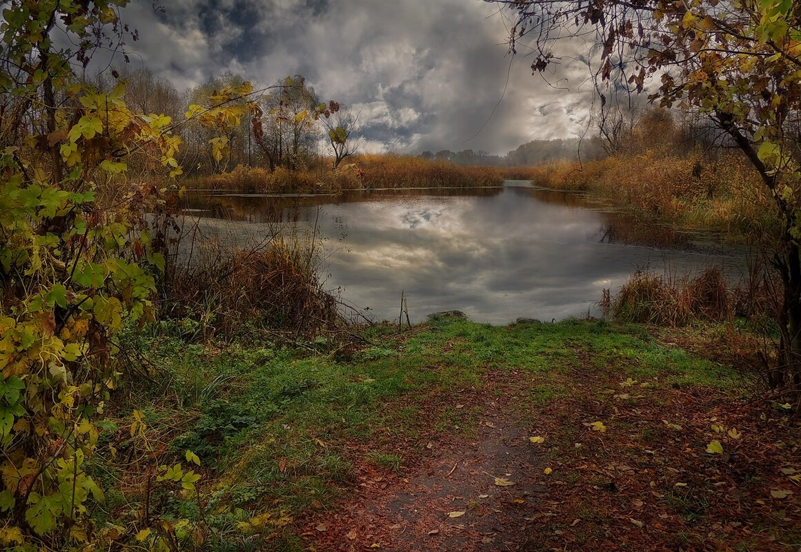 Осень - Роман Савоцкий