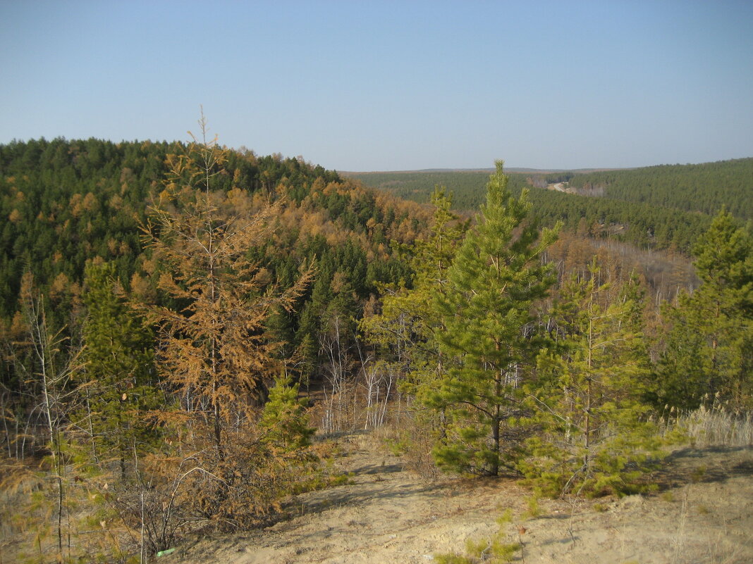 На сопке - Anna Ivanova На сопке - Anna Ivanova