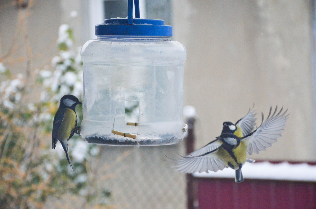Летающий дуэт... - Михаил Болдырев 