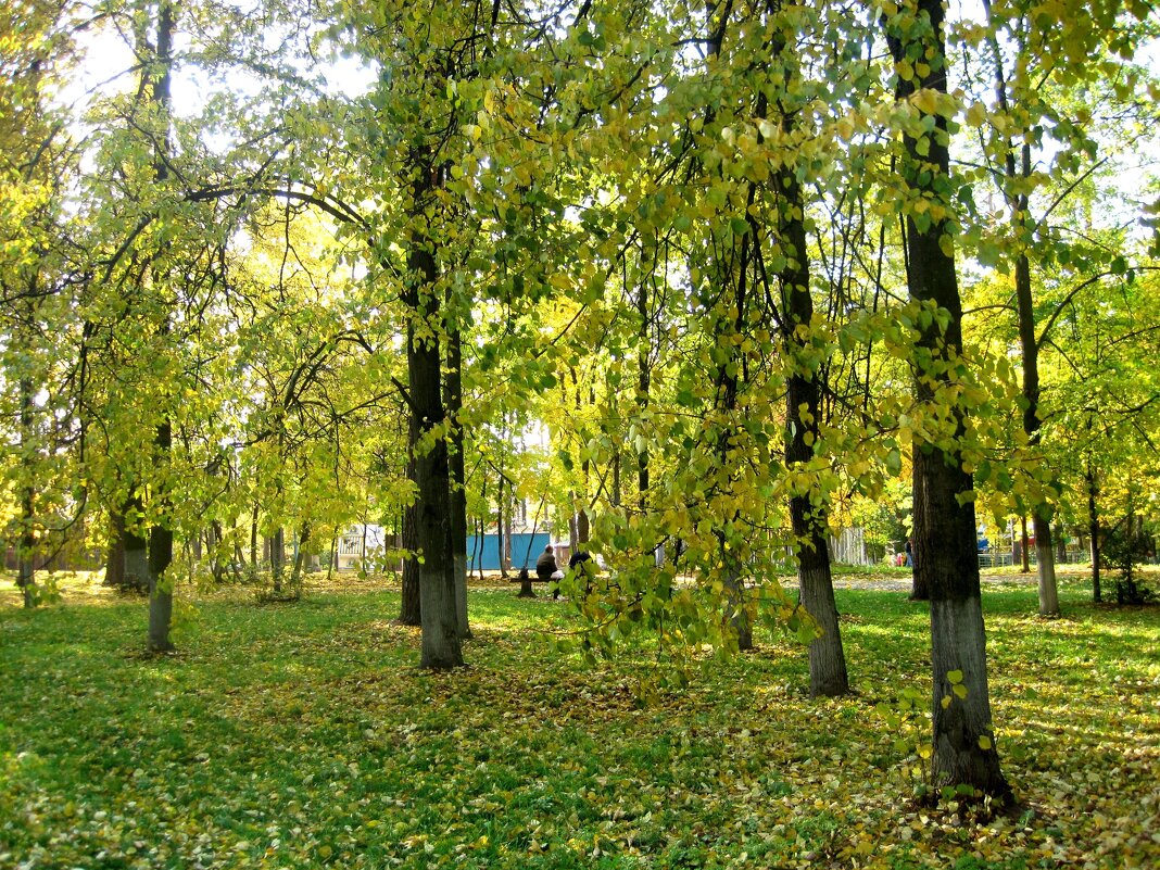 В начале октября в городском парке - Елена Семигина