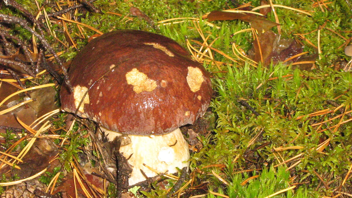 2 - Дмитрий Есин