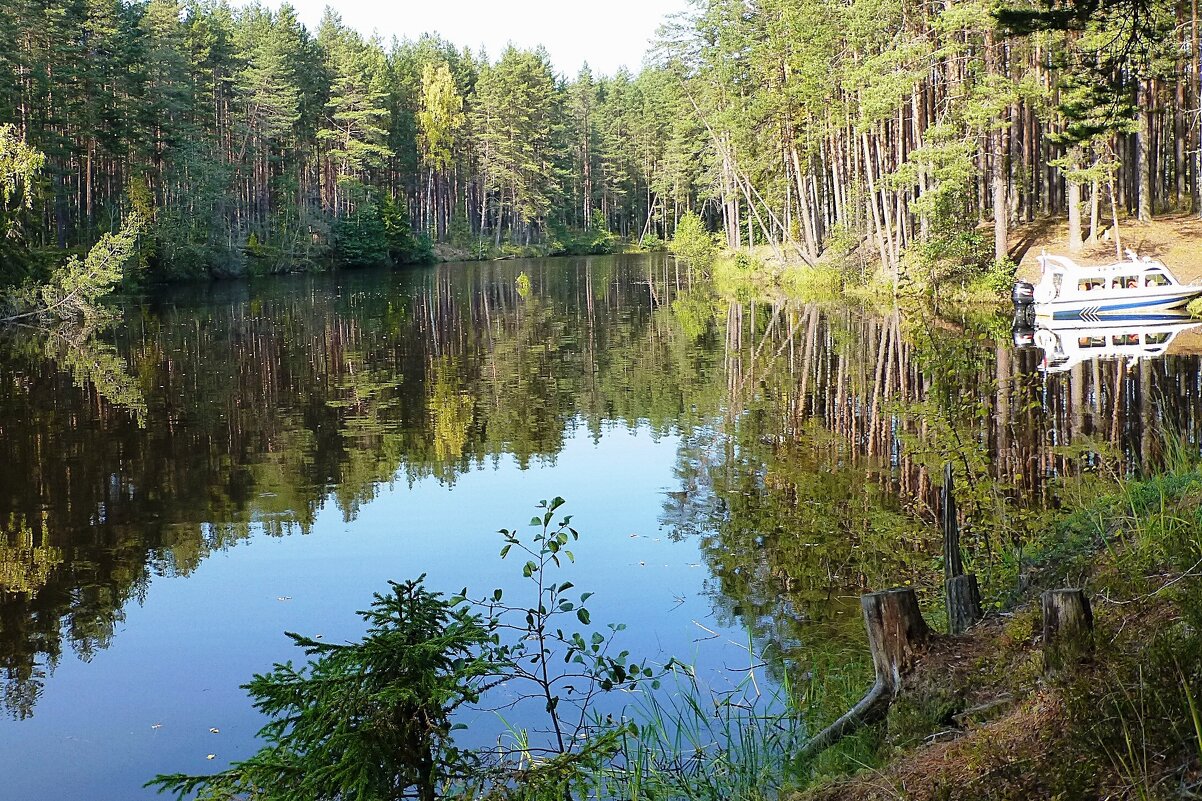 Весьегонские пейзажи - Лидия Бусурина