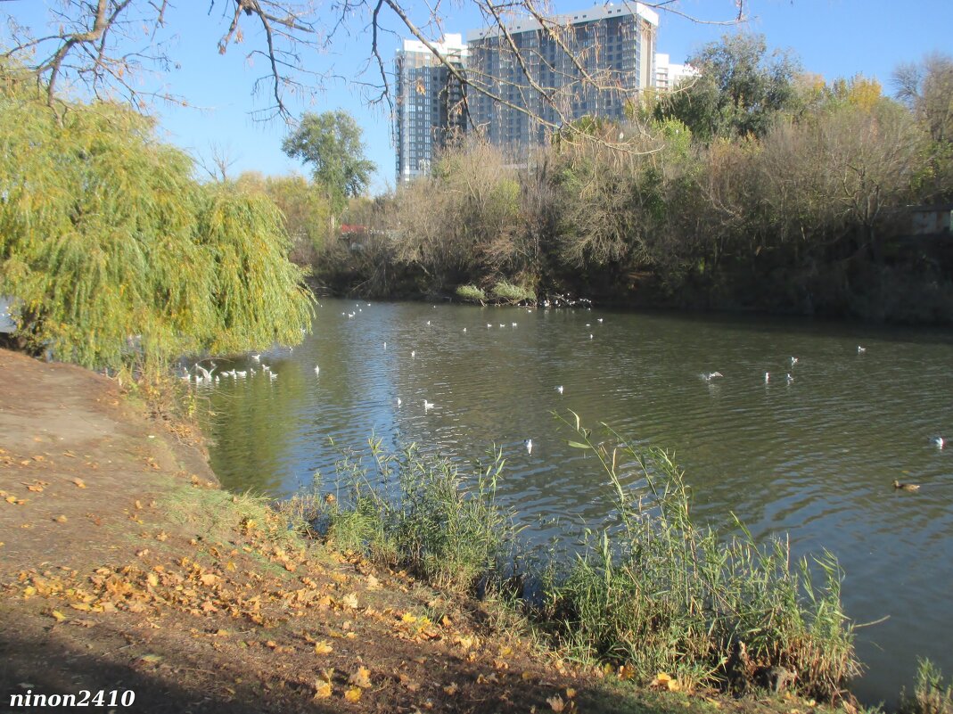 Ростов-на-Дону - Нина Бутко