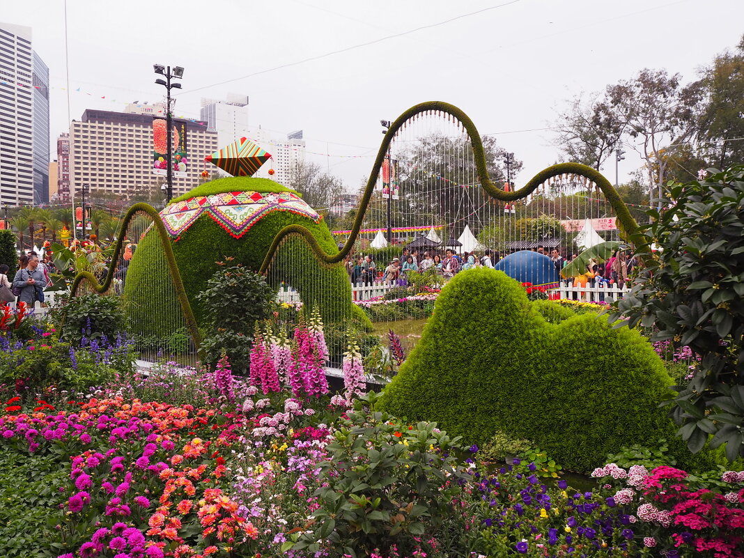 Гонконг "Парк Виктория" - цветочное шоу Hong Kong Flower Show Victoria Park - wea *