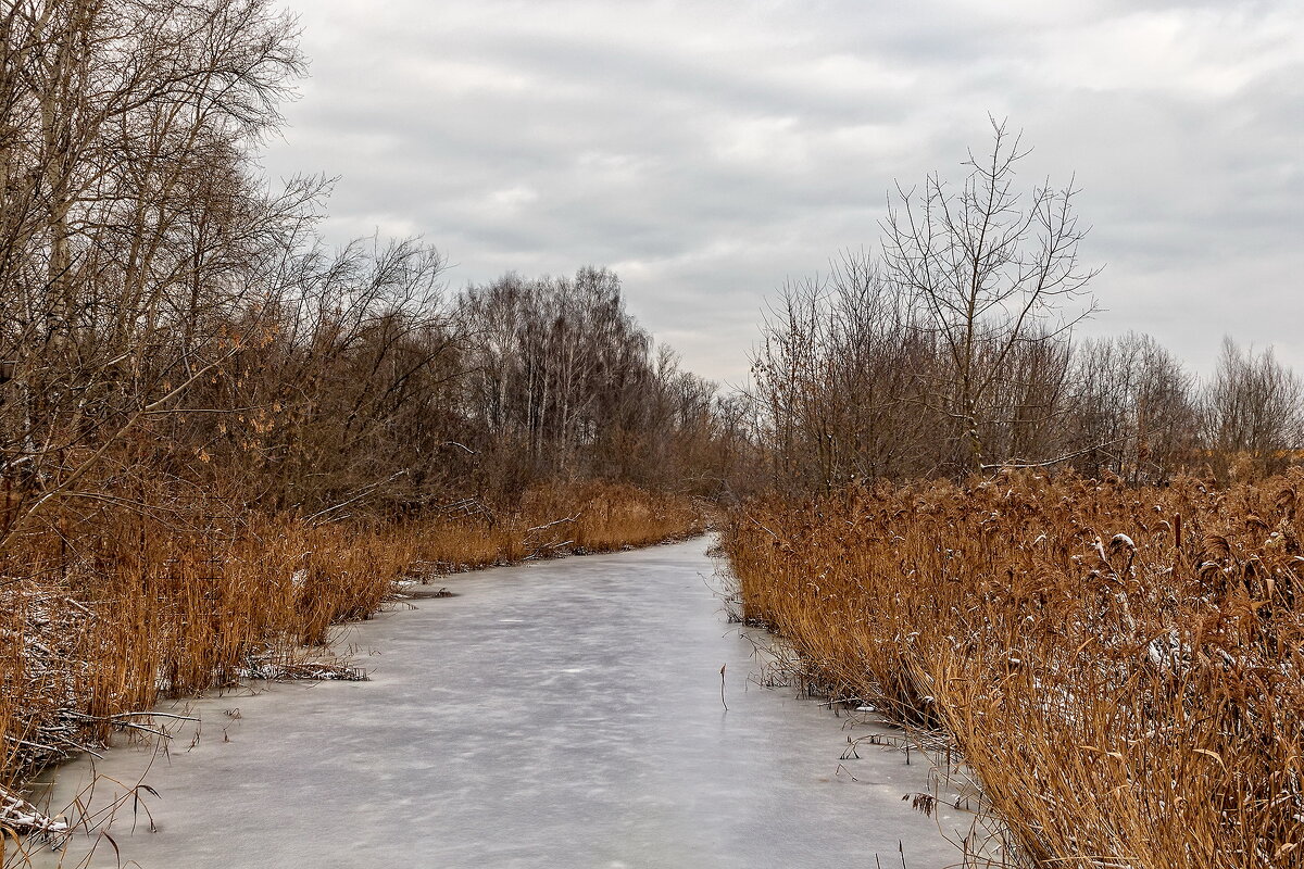 Декабрьская картинка. - Анатолий. Chesnavik.