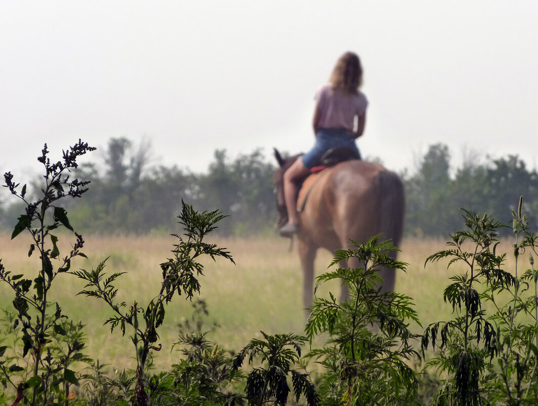 Прогулка по Хортице - Павел Вышер
