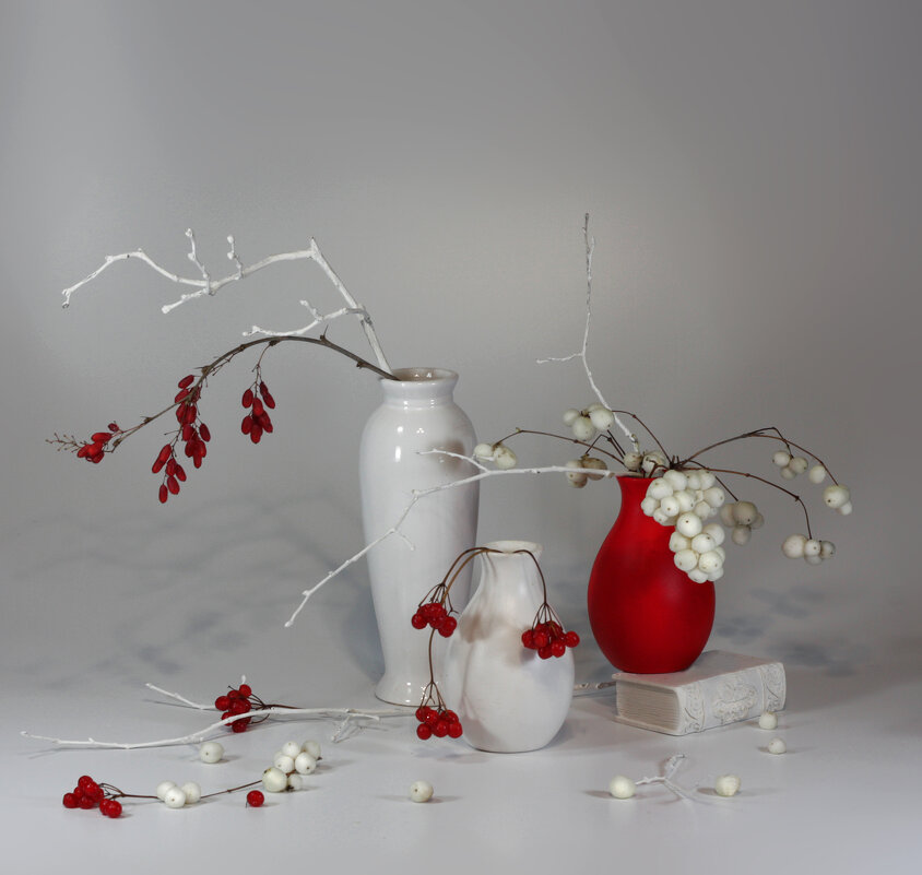 Red and white berries - Olenka 