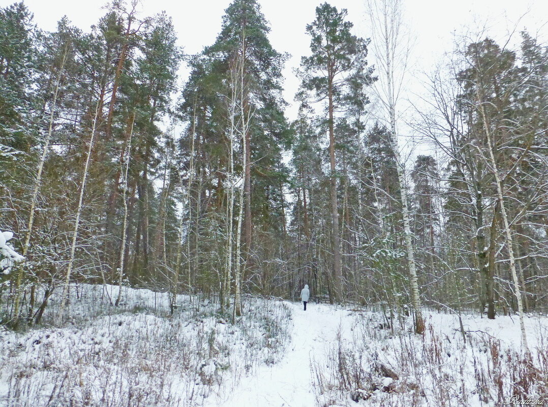 А дорожка в лес зовет - Raduzka (Надежда Веркина)