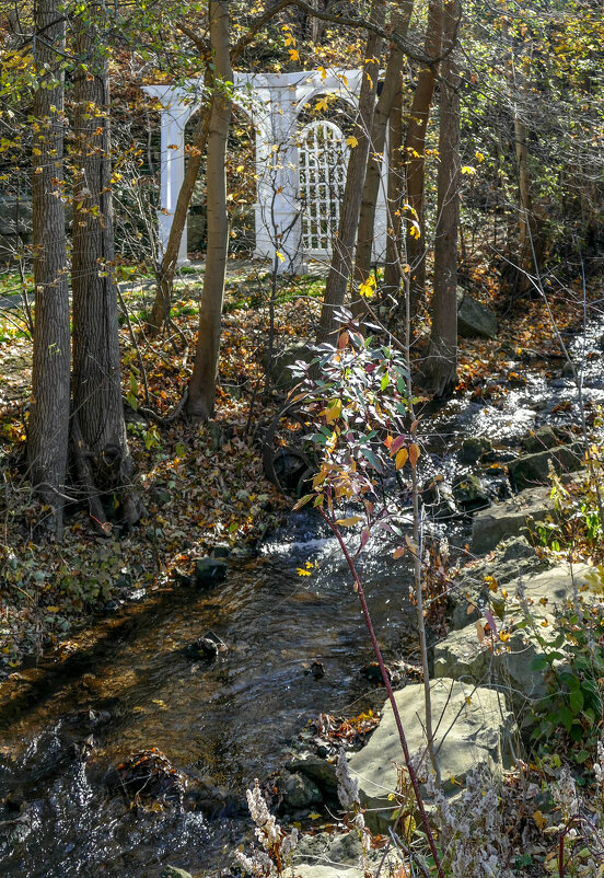 Прогуливаясь вдоль ручья. Анкастер, Канада, ноябрь 2020 г. - Юрий Поляков Прогуливаясь вдоль ручья. Анкастер, Канада, ноябрь 2020 г. - Юрий Поляков
