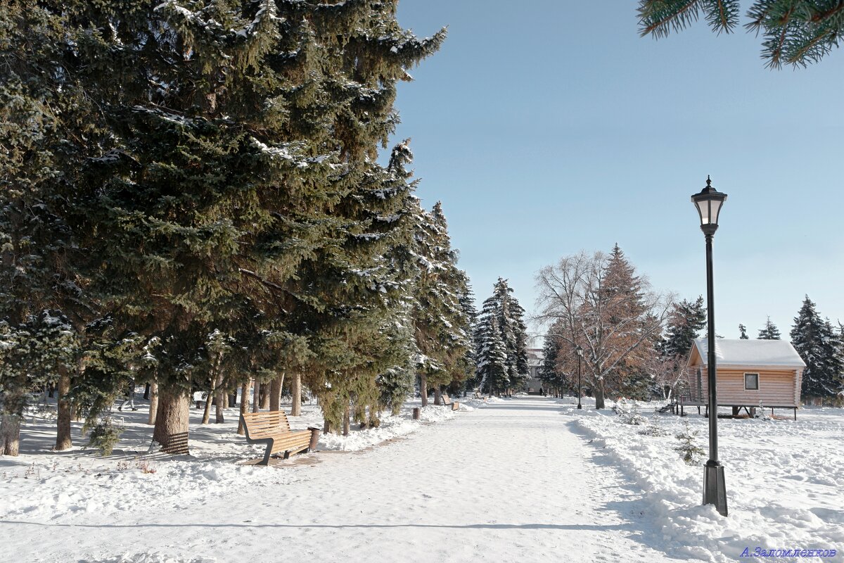 Прогулки по декабрьскому парку.. - Андрей Заломленков