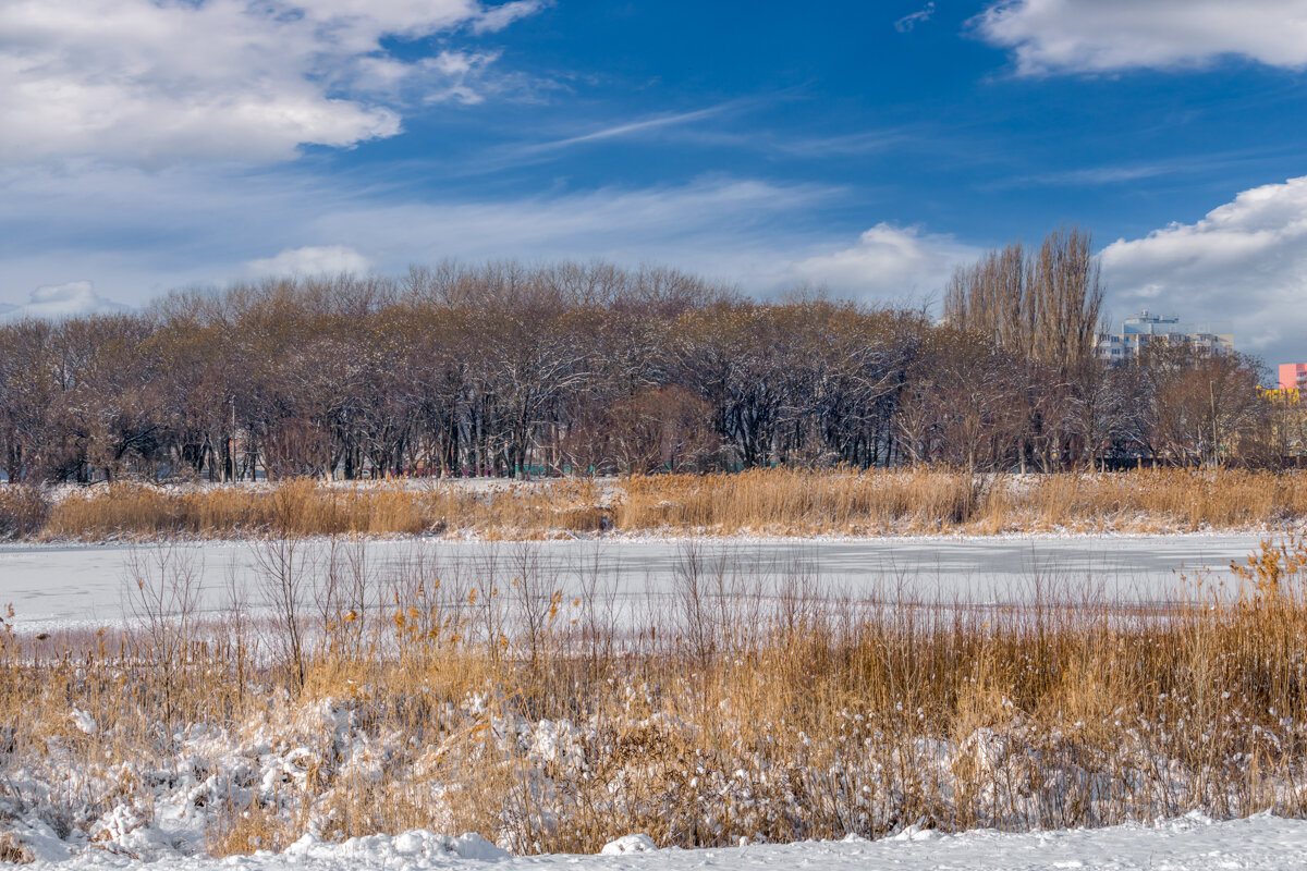 За городом - Игорь Сикорский