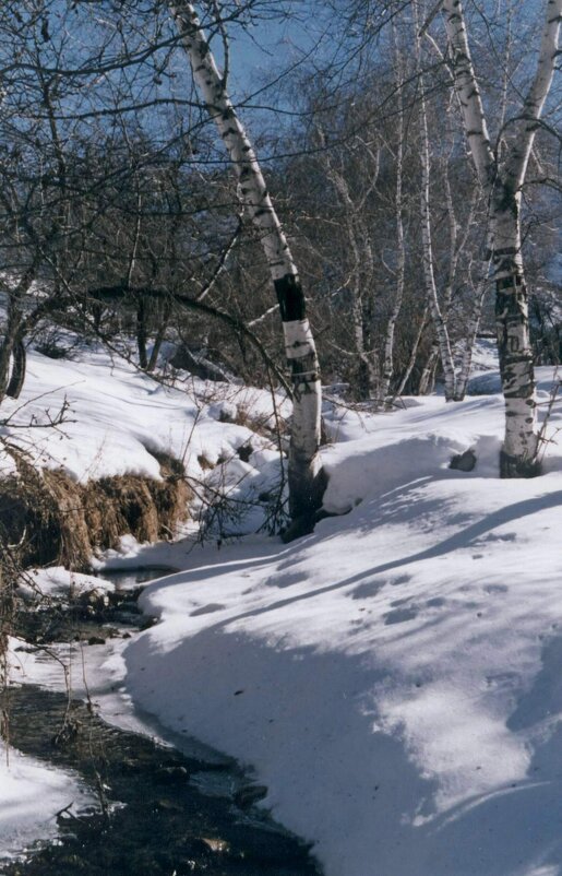 ПО НИЗАМ. - Виктор Осипчук