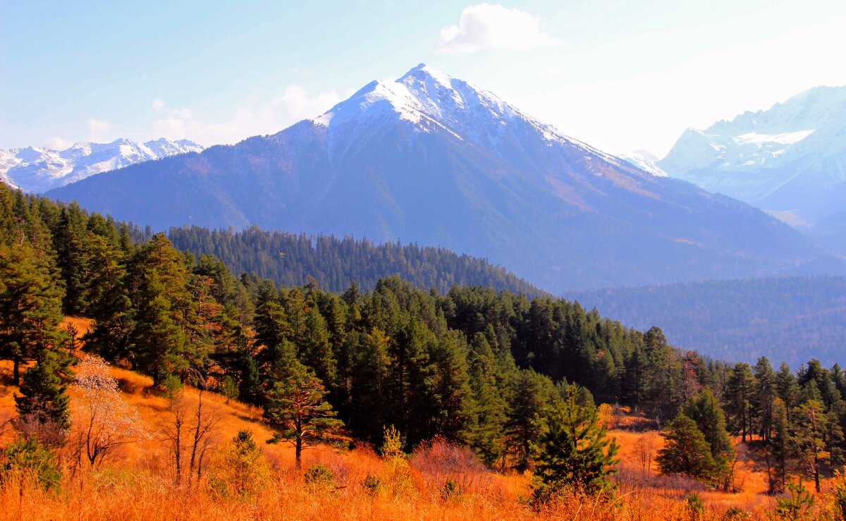 *** - Вячеслав Случившийся *** - Вячеслав Случившийся