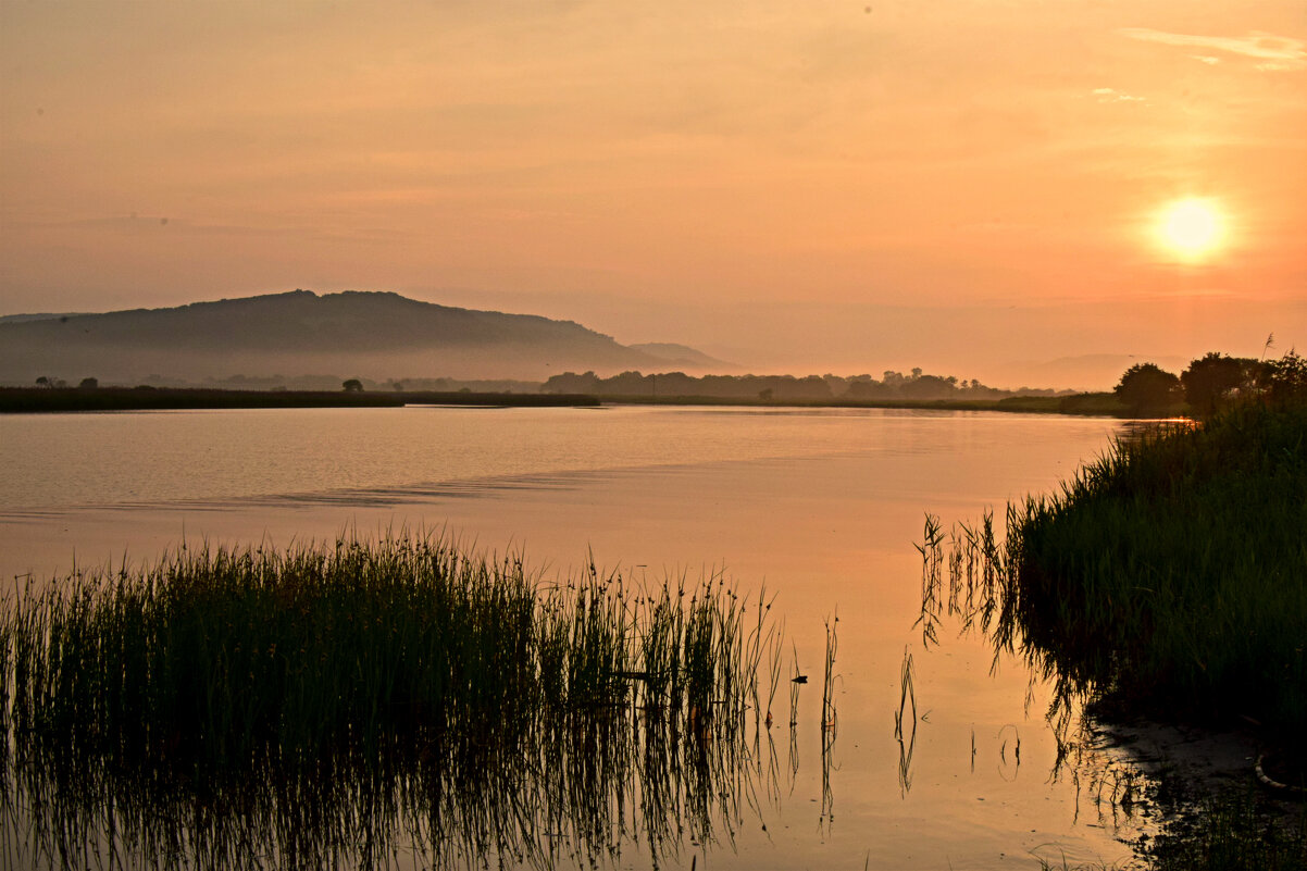 На заре - Светлана 
