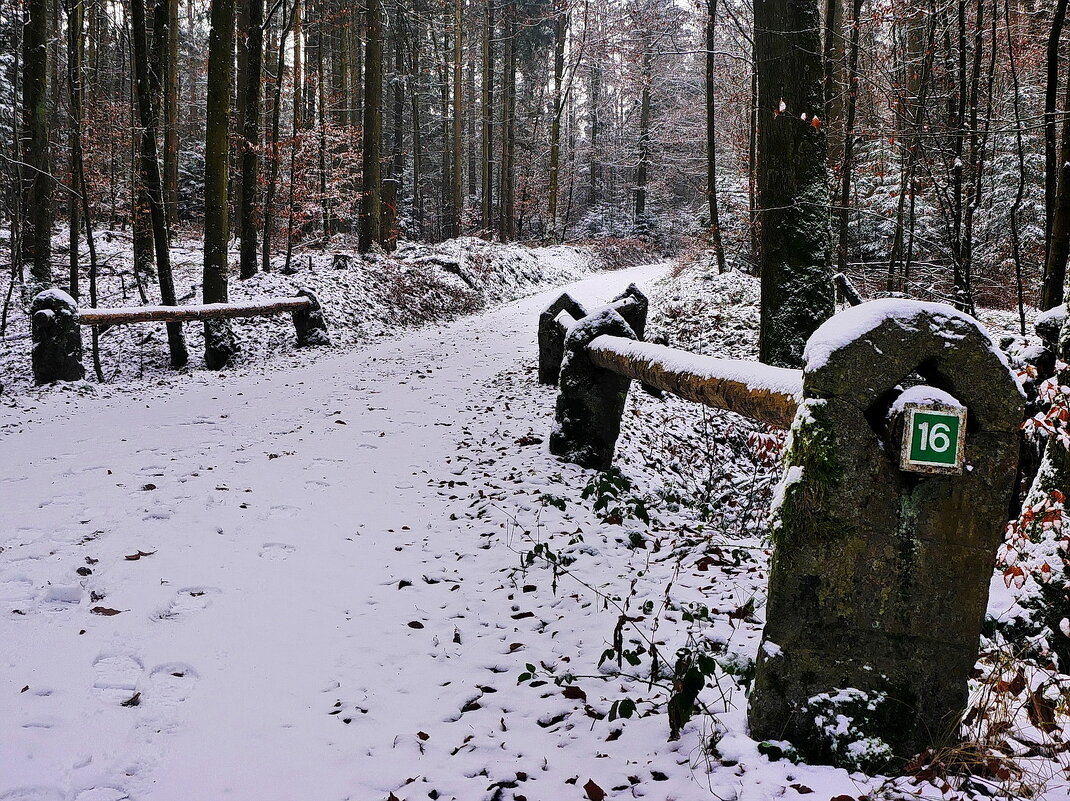 16-ый маршрут - Walter Dyck