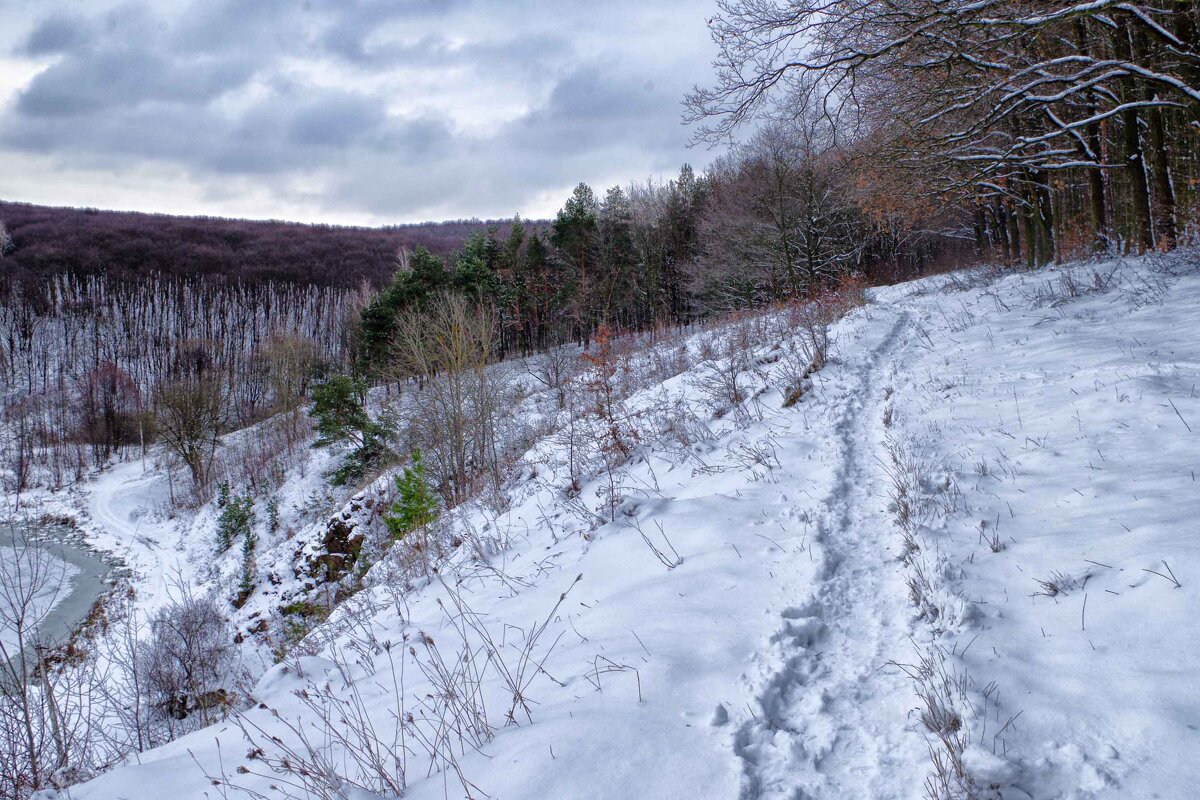 зима прошлых лет - юрий иванов 