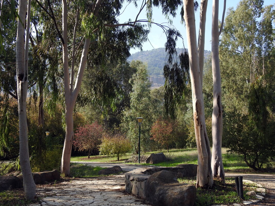 Погуляем по осеннему парку... - Гала Погуляем по осеннему парку... - Гала