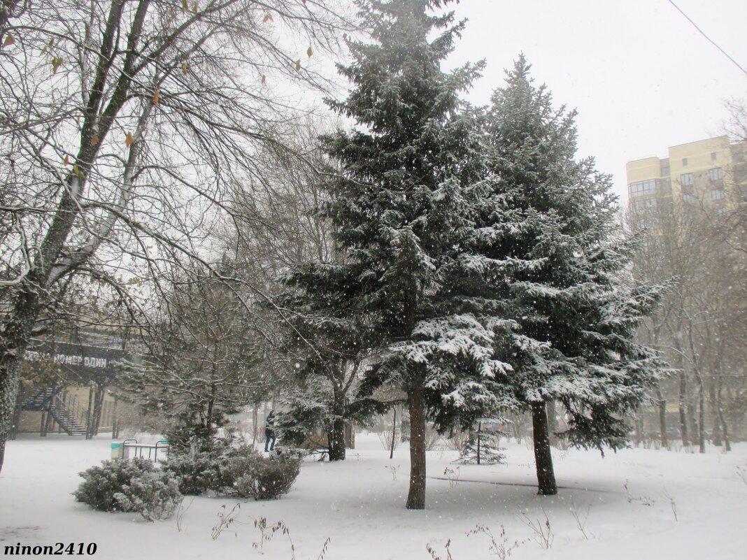 Зима в Ростове - Нина Бутко Зима в Ростове - Нина Бутко