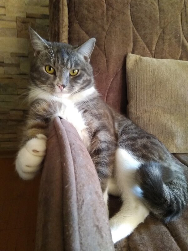 Михуша - Cергей Кочнев Михуша - Cергей Кочнев