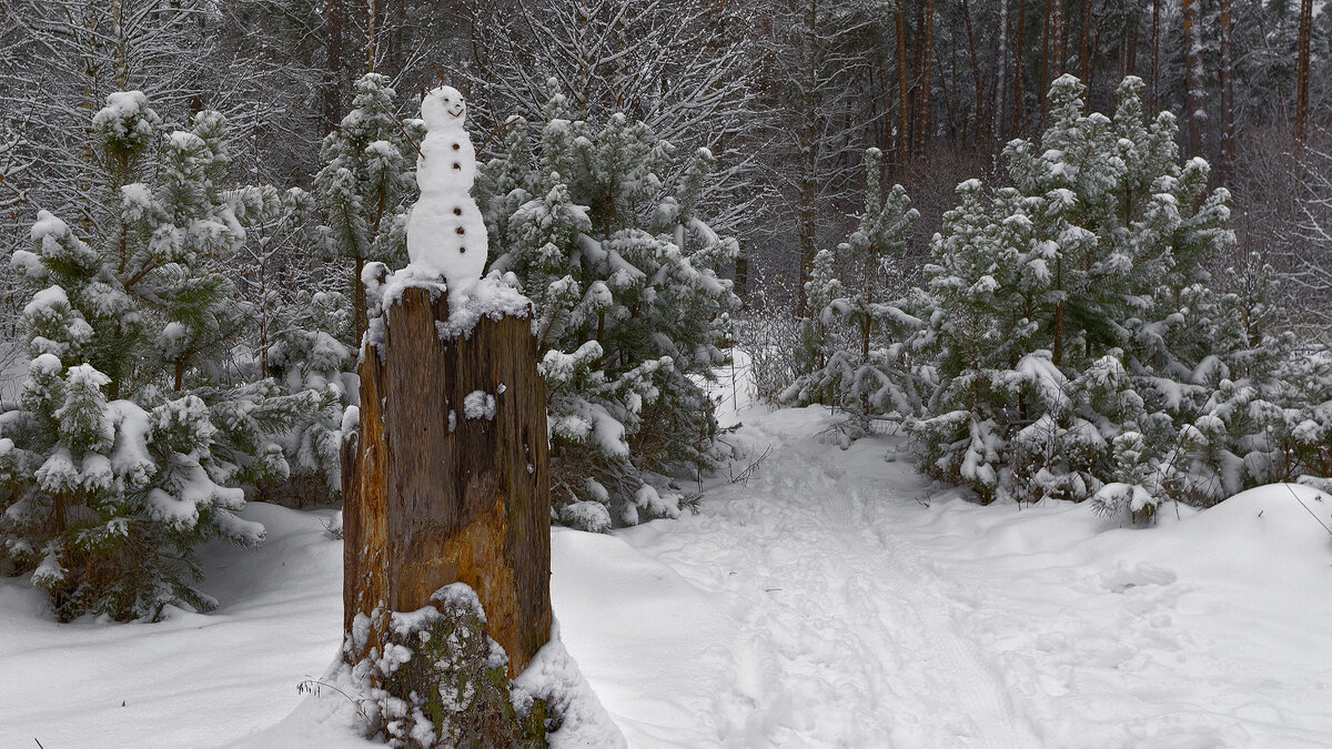 Зимние приметы - Владимир Кириченко  wlad113