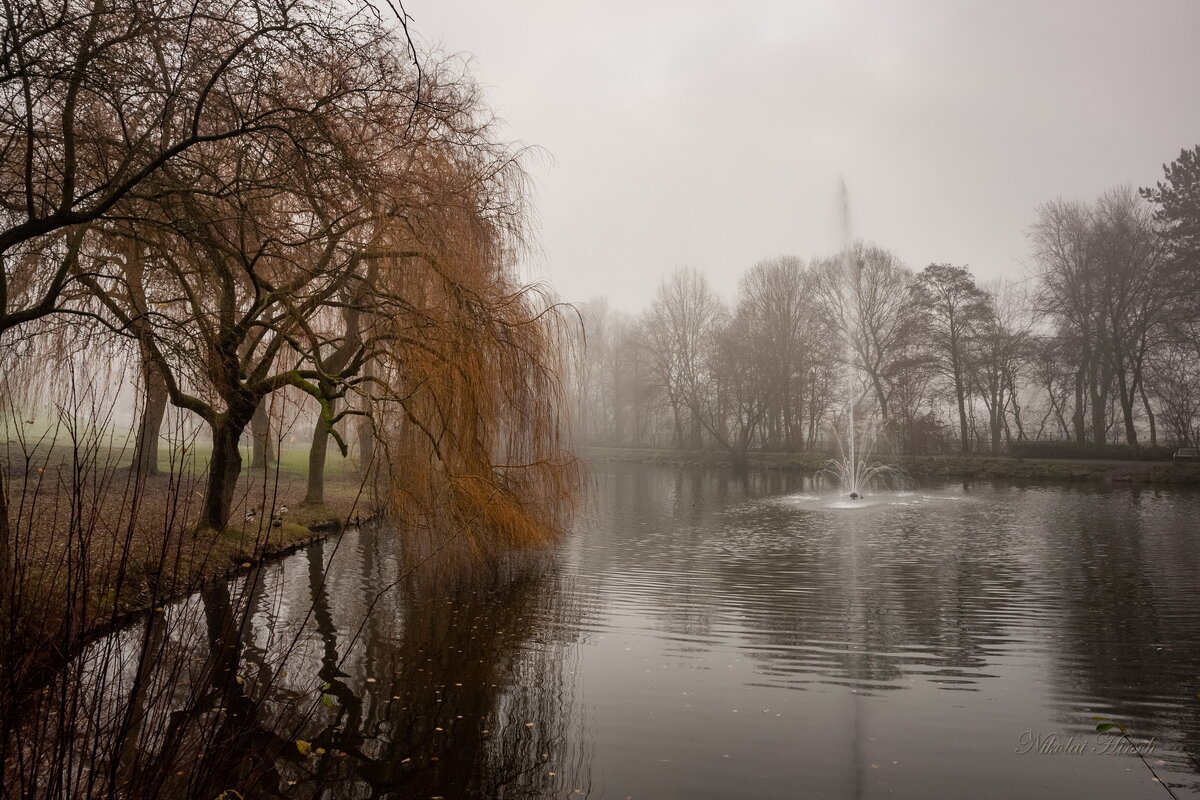 Утренний туман в парке - Николай Гирш Утренний туман в парке - Николай Гирш