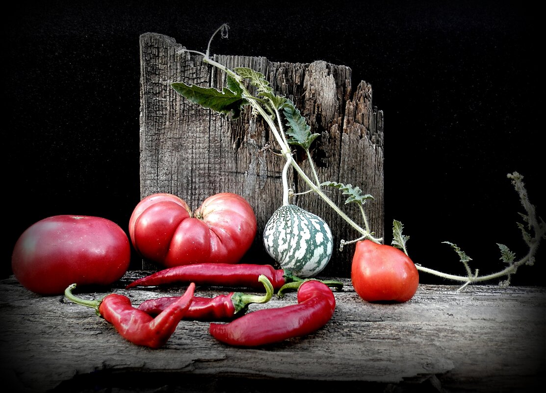 Чужой..среди своих - TAMARA КАДАНОВА Чужой..среди своих - TAMARA КАДАНОВА