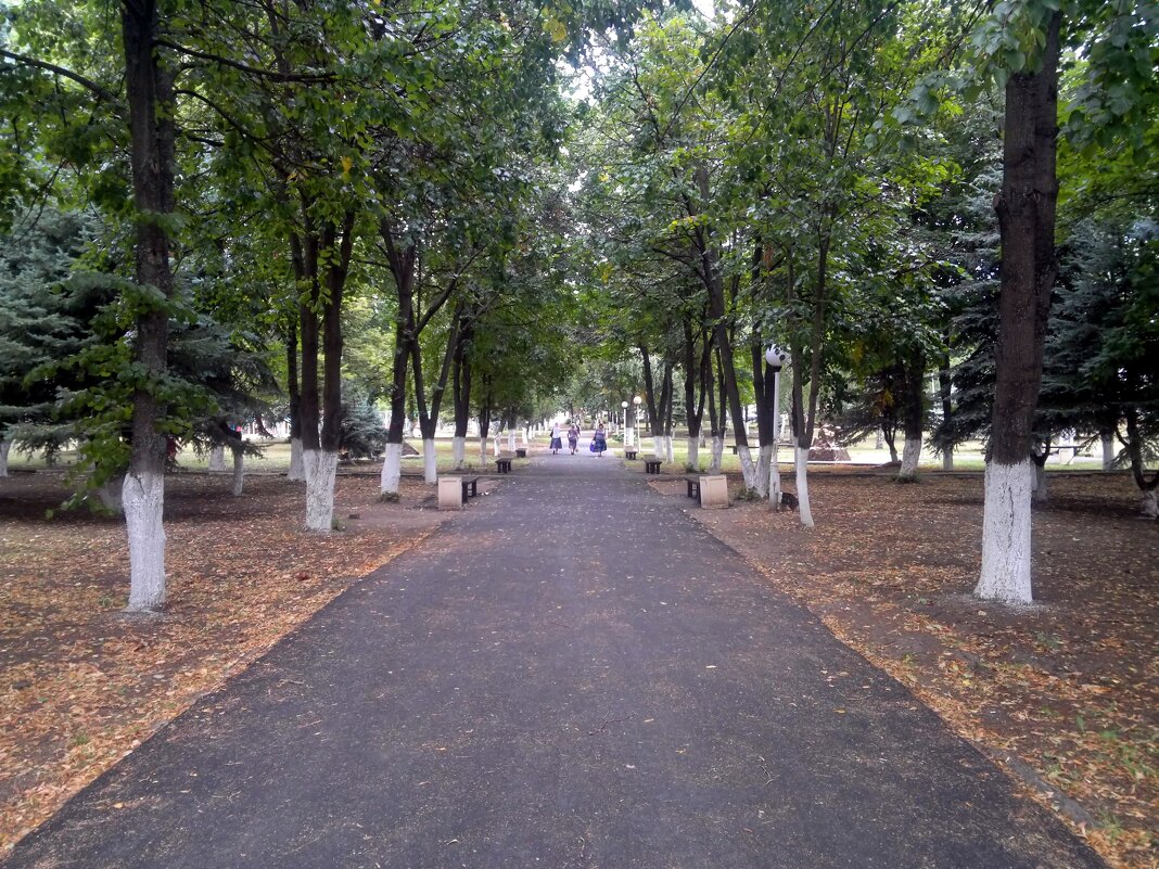 Красный Сулин. Центральный сквер. - Пётр Чернега Красный Сулин. Центральный сквер. - Пётр Чернега