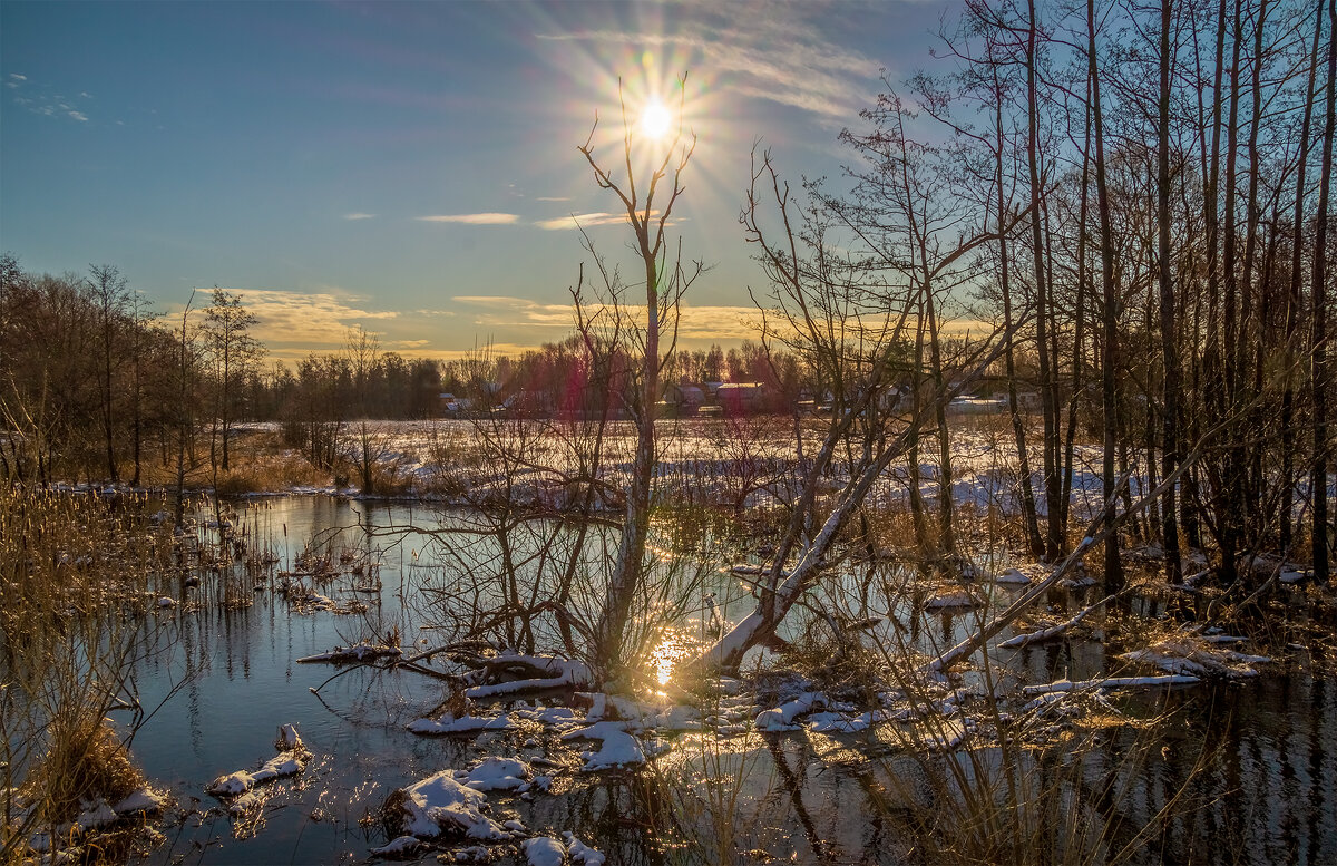 *2@**** - Андрей Дворников