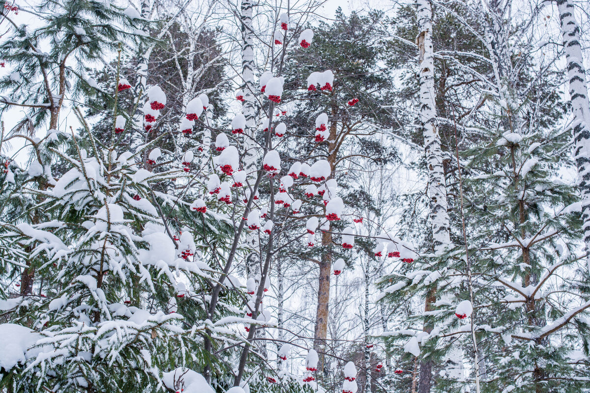 *** - Юрий *** - Юрий