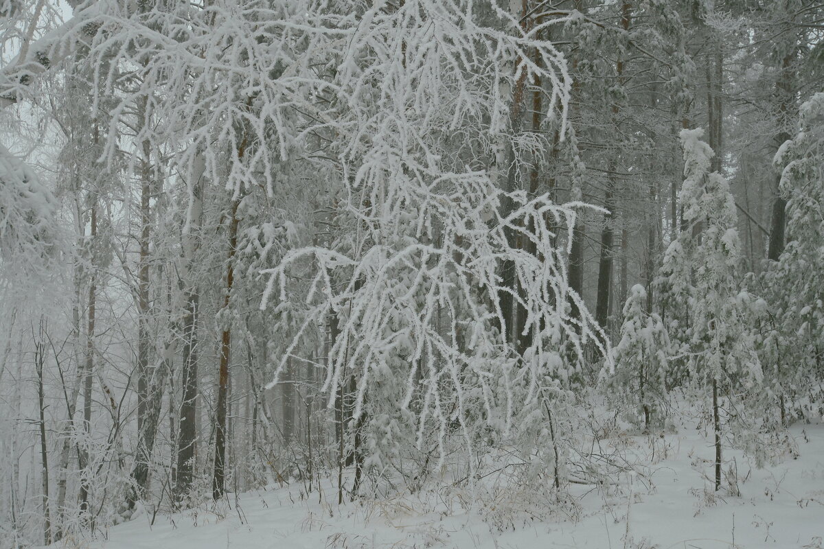 *** - Яковлев Виктор 