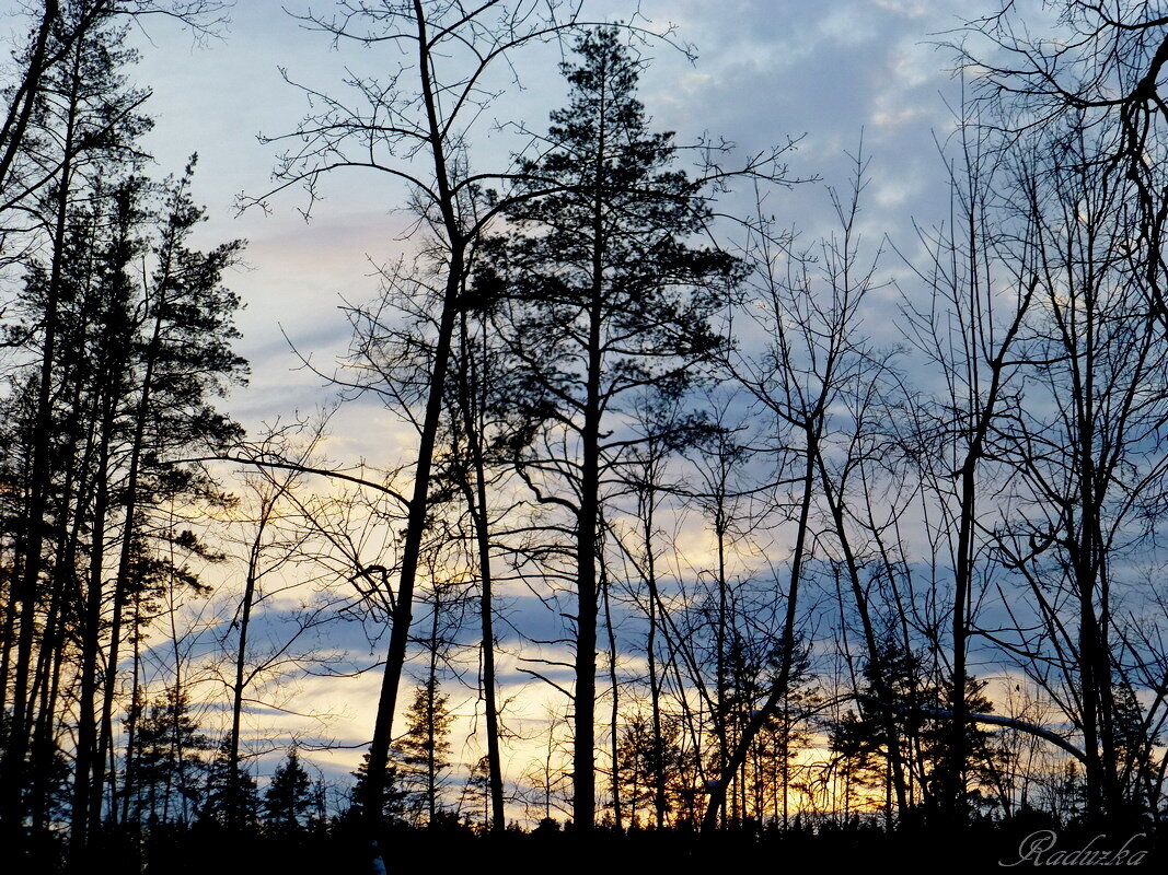 Мираж небесный, 17:02 - Raduzka (Надежда Веркина) Мираж небесный, 17:02 - Raduzka (Надежда Веркина)