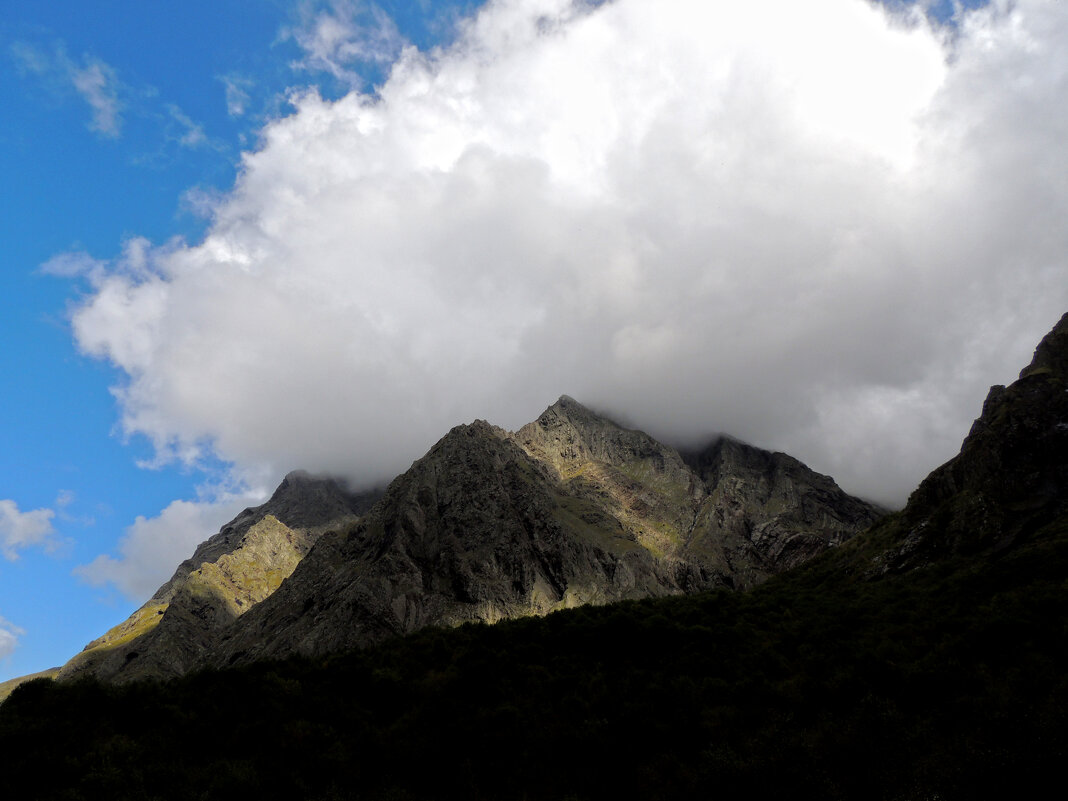 *** - Роман Трофимов *** - Роман Трофимов