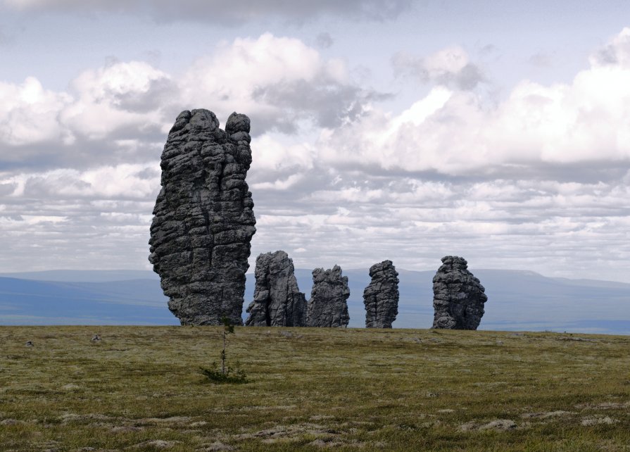 *** - Денис Нечаев