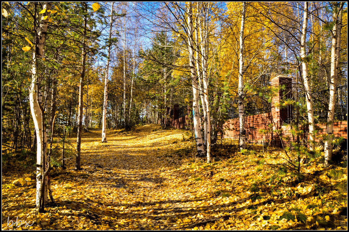 Осенние деньки, очей очарованье - Василий Хорошев