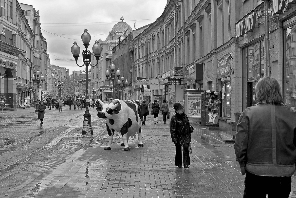 Она не умела мычать... - Вячеслав Орлов