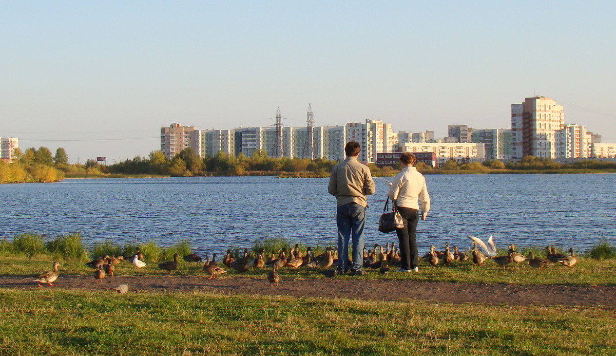 Вечер у городского озера - Елена Перевозникова