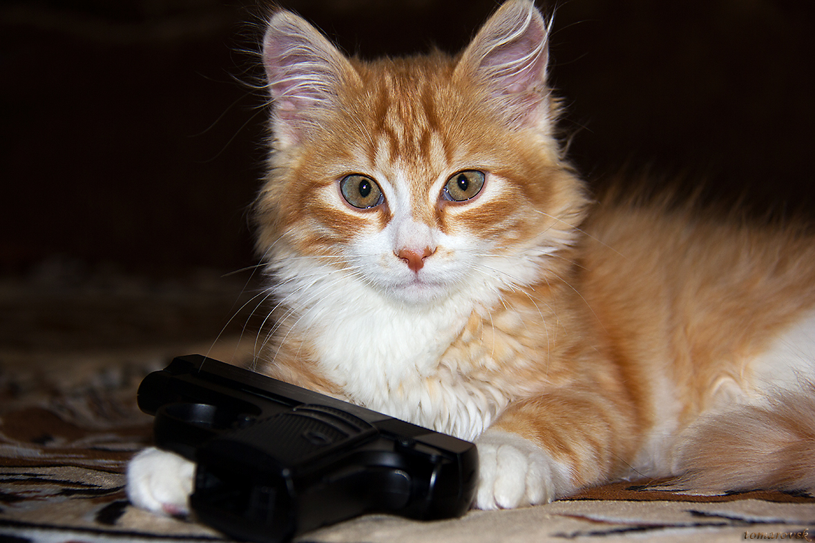 Джеймс Бонд))) - Ольга Томаровская Джеймс Бонд))) - Ольга Томаровская